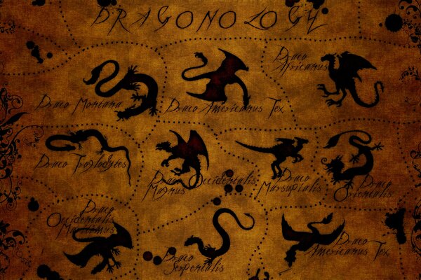 Drawing of dragon species, marks with dragon names