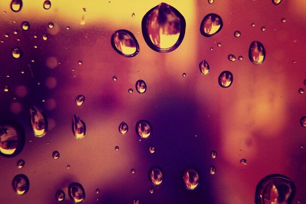 Large raindrops on the glass