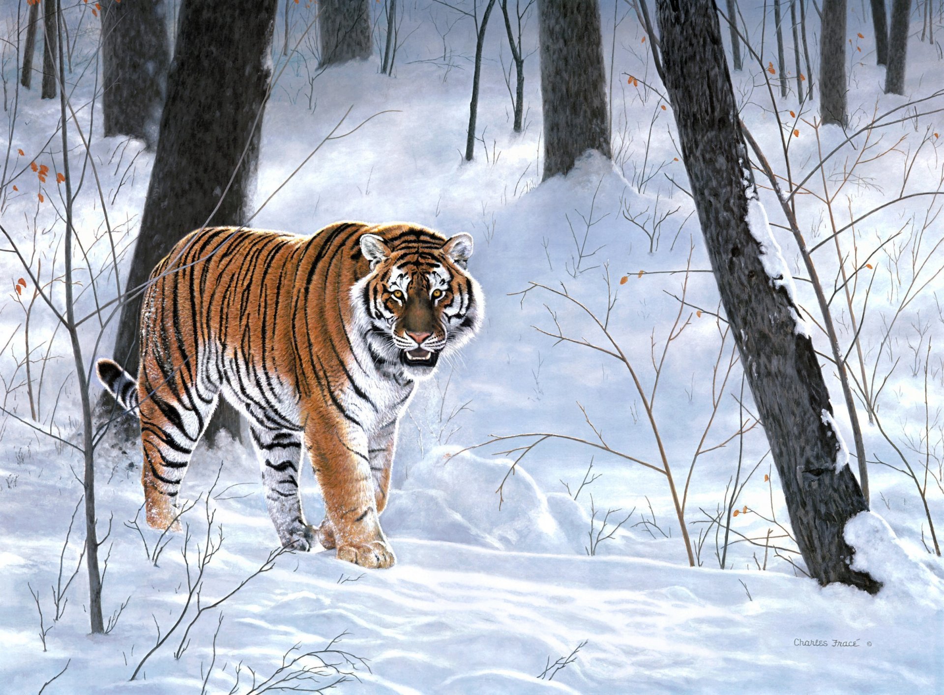 charles frace empereur de sibérie peinture forêt hiver taïga tigre animaux