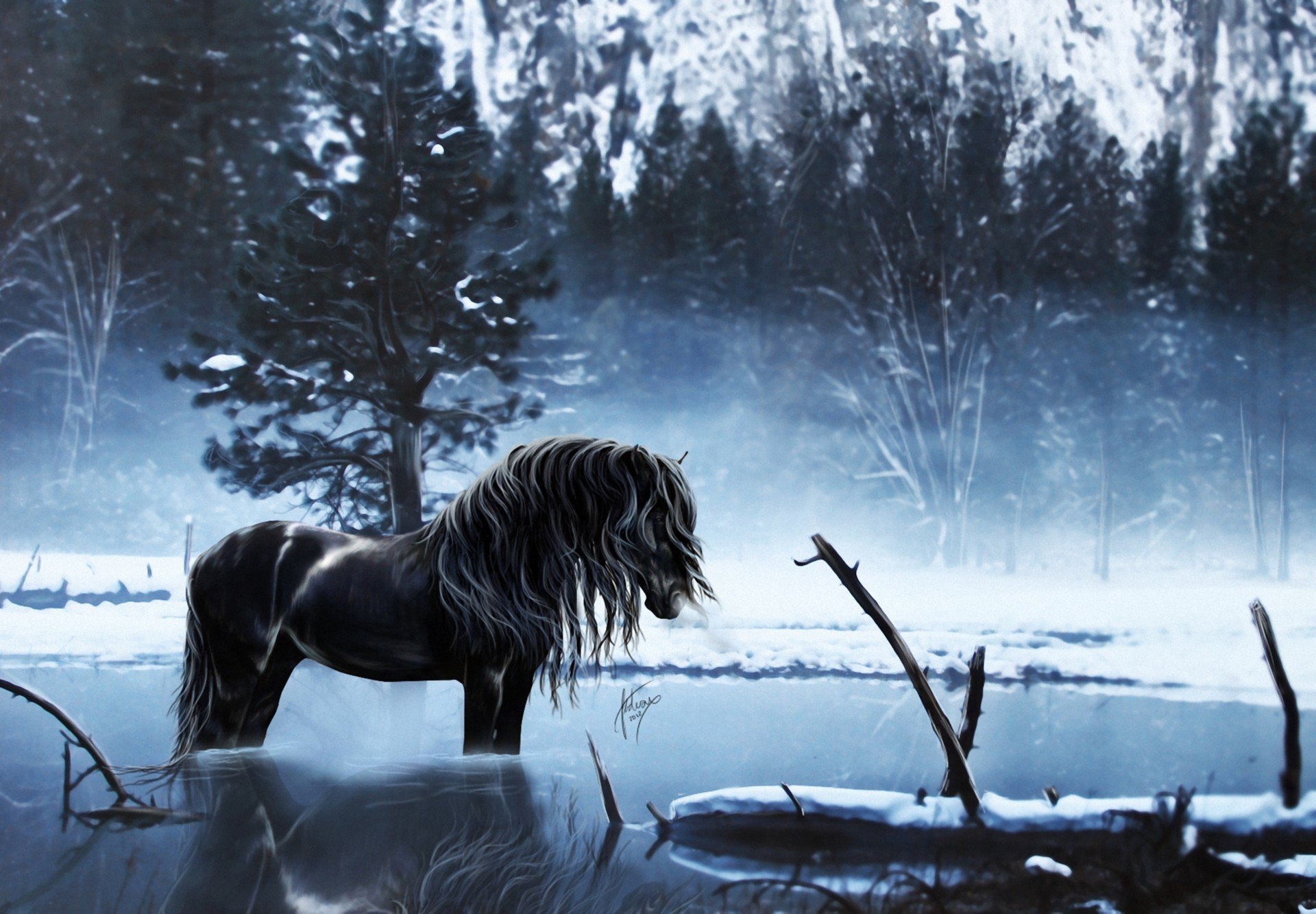 Черный конь в заледеневшем озере в лесу зима ночь - обои на рабочий стол