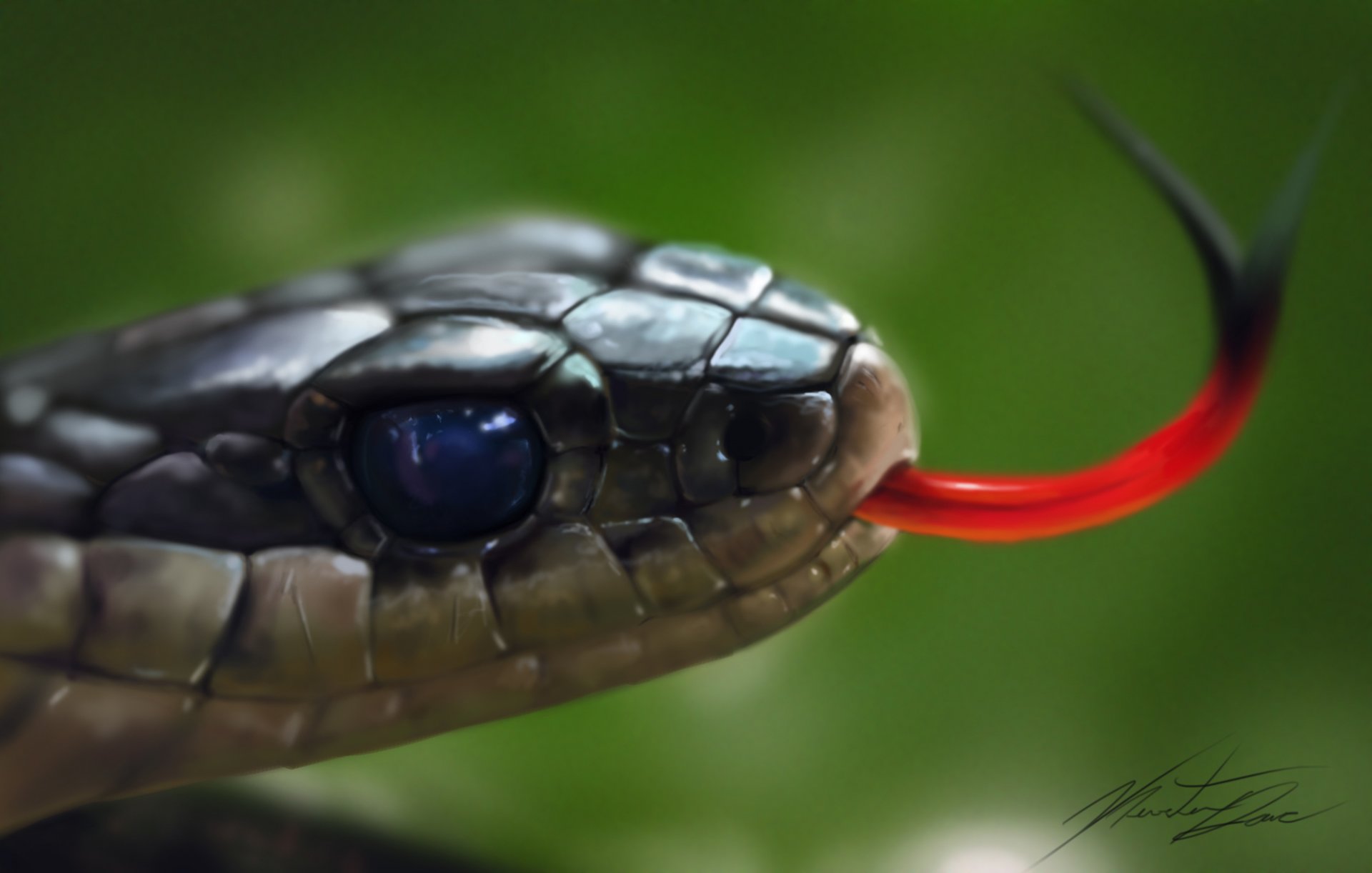 kunst kopf schlange zunge reptil makro grüner hintergrund