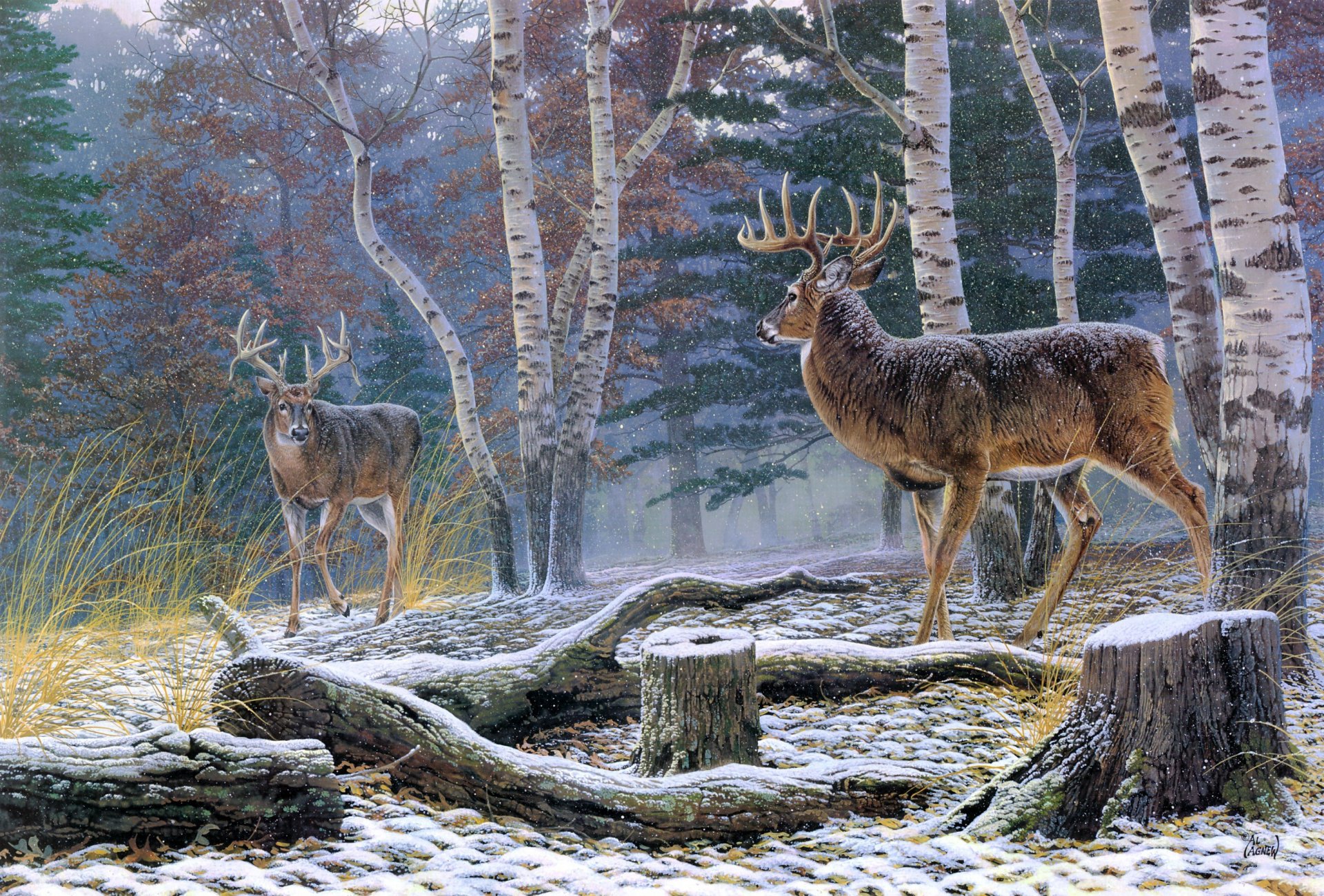 al agnuu confrontación pintura animales ciervos bosque otoño primera nieve abedules tocón de árbol