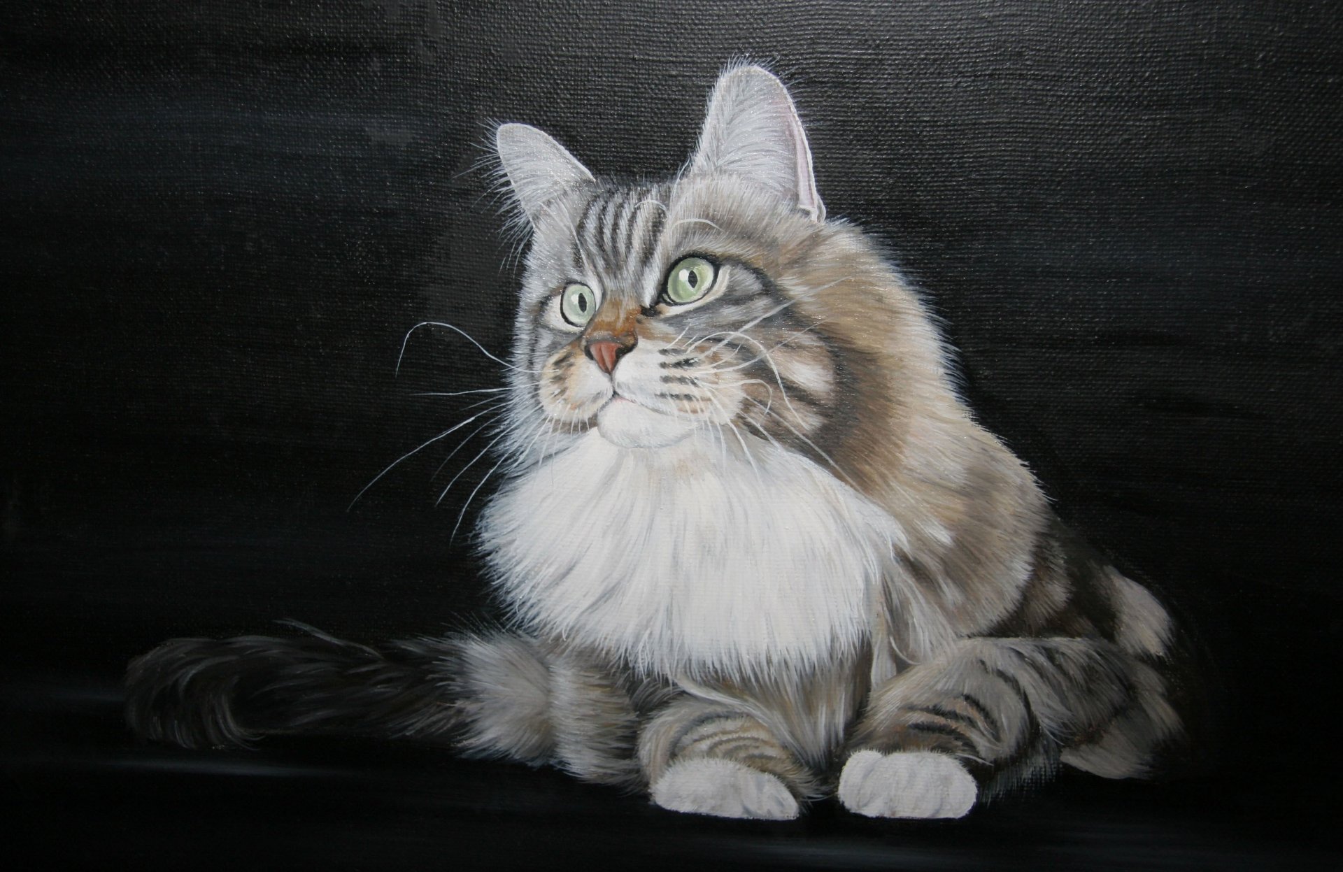 arte pintura pintura gato ojos verdes gato bigote patas cola blanco cuello