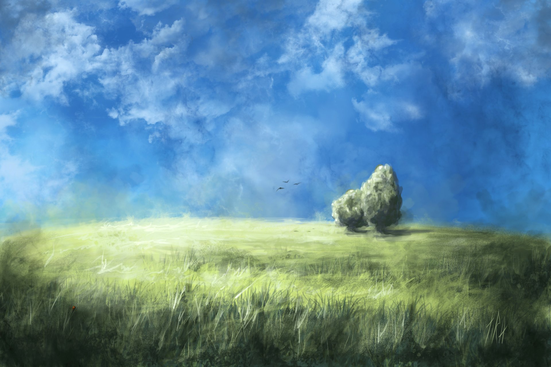 art nature tree the field grass clouds sky bird