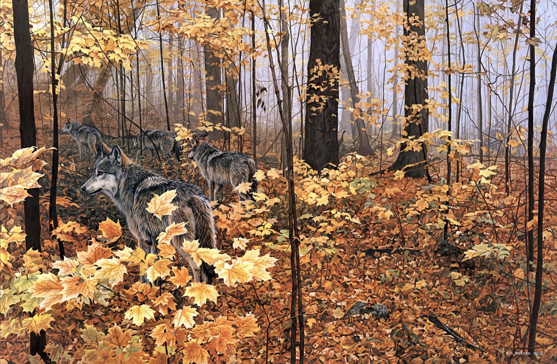 ron s.parker autumn maples painting nature forest autumn animals wolves yellow leave