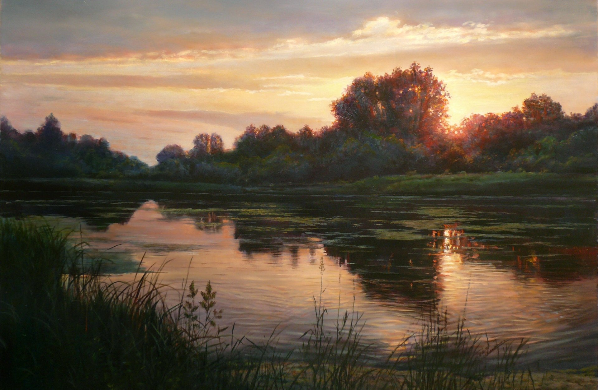 pittura paesaggio zbigniew kopania lago riflessione tramonto sera riva alberi fili d erba luce cielo