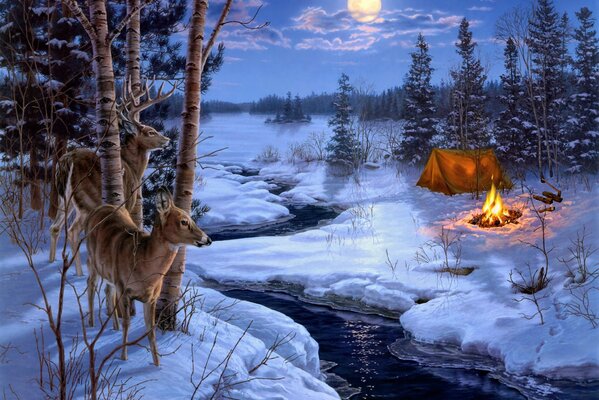 Malarstwo Darrell Bush zimowy krajobraz nad rzeką z namiotem i reniferami w lesie noc