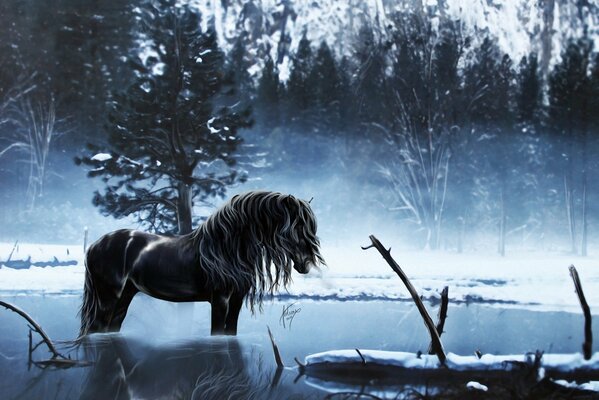 Cheval noir dans le lac glacé dans la nuit d hiver de la forêt