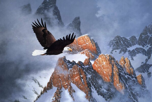 The eagle flies on the slopes of the mountains