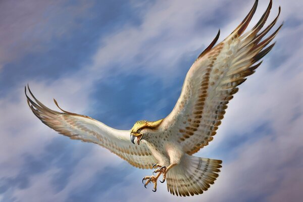 Der Falke, der seine Flügel weit ausstreckt, schwebt am Himmel