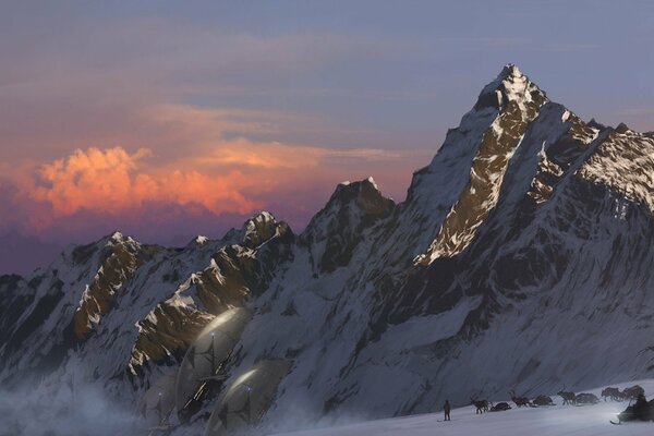 Ein Schlitten mit Hirschen in den Bergen. Viel Schnee