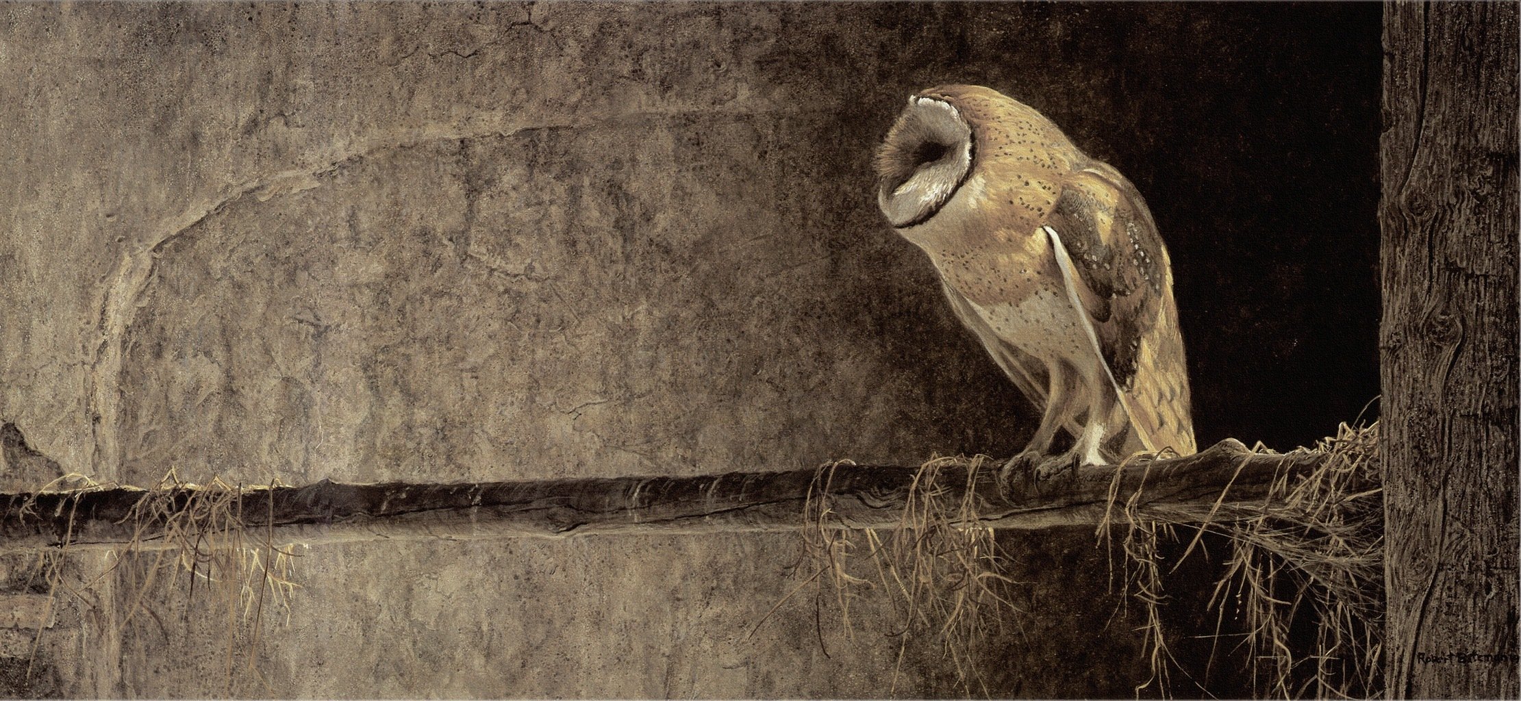 robert bateman robert batman pintura búho