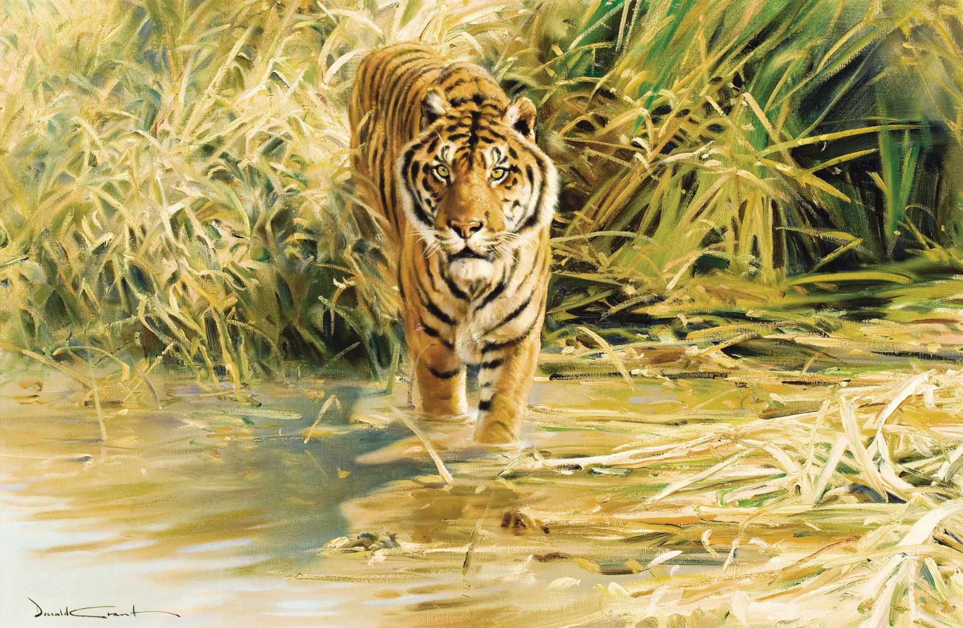 donald grant tiger picture painting