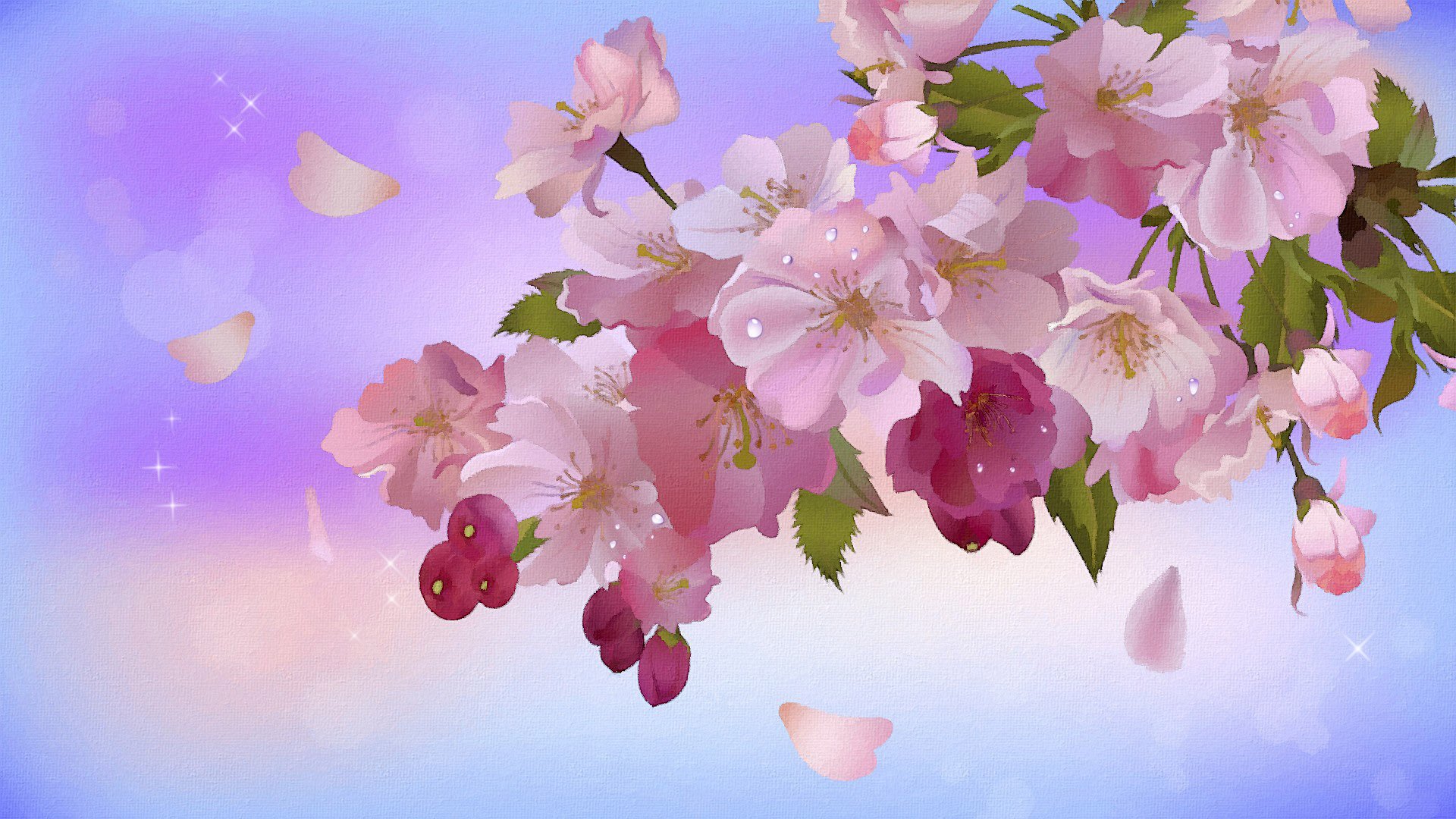 apple tree in bloom branch leaves bokeh star buds petal