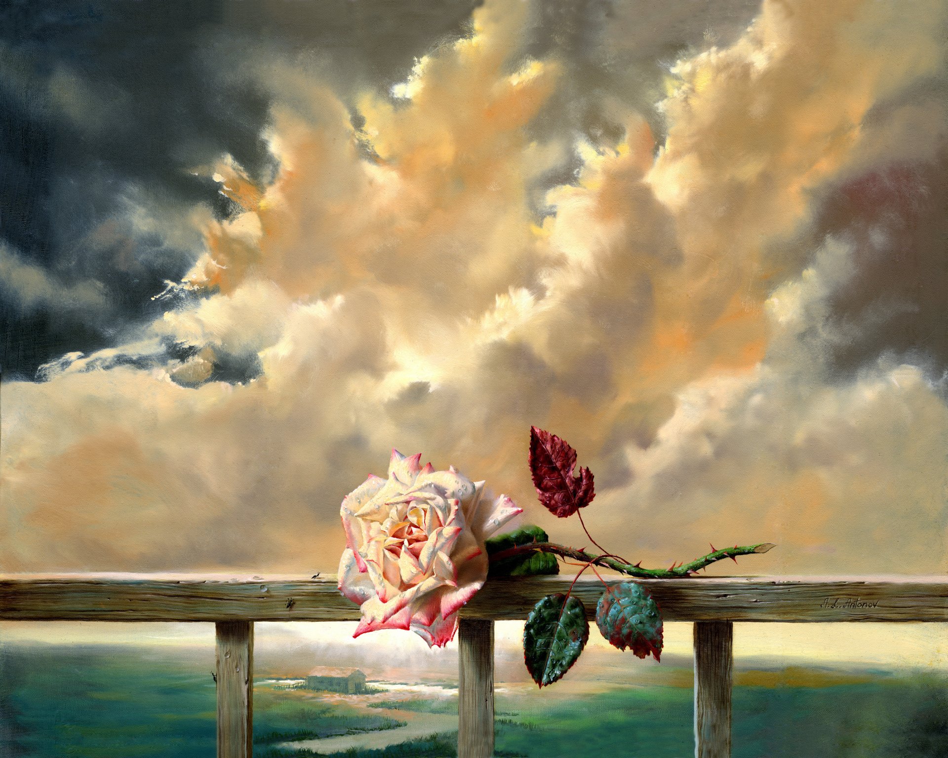 painting flower rose freshness cloud