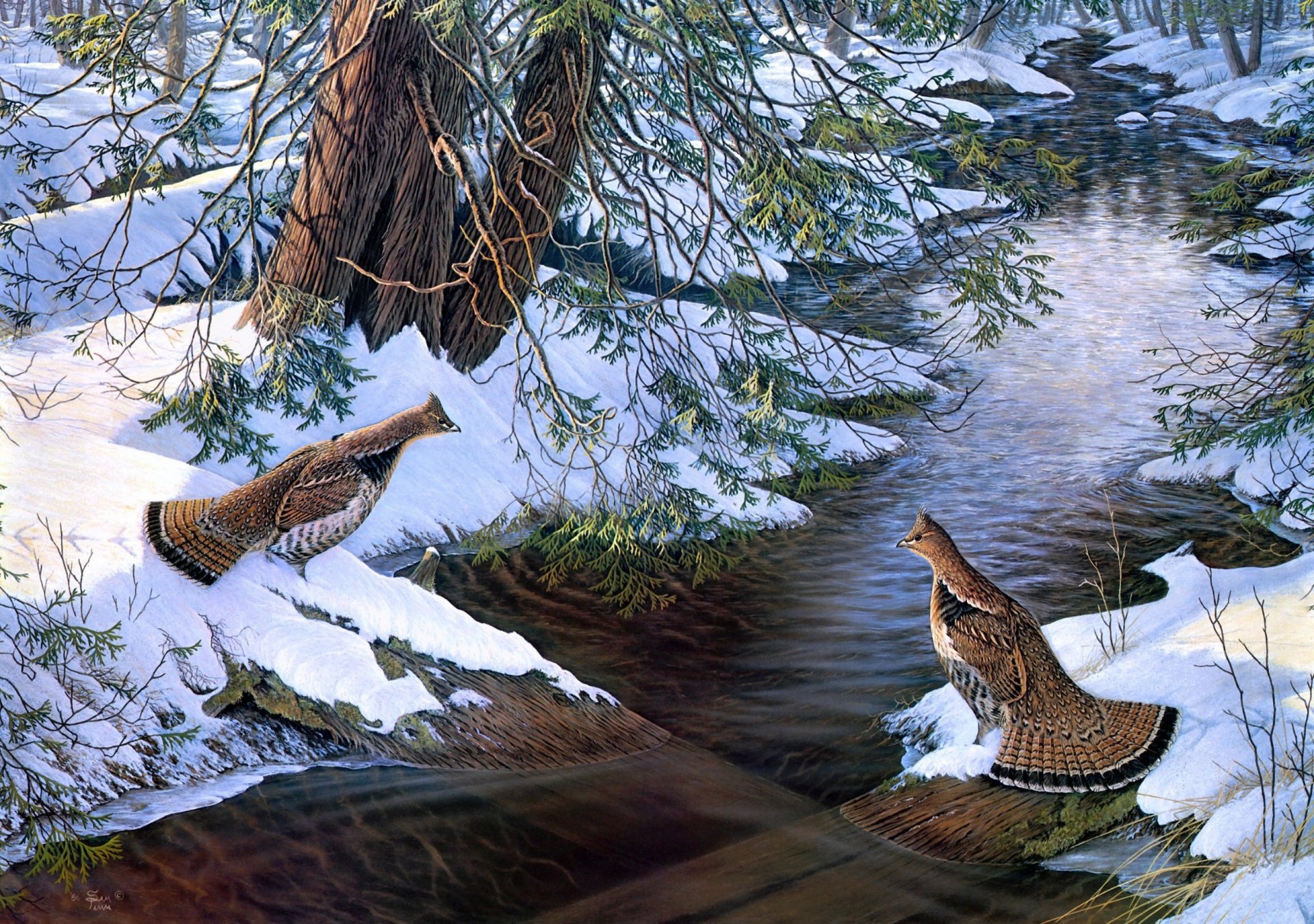 chance encounter sam timm painting snow river bird broken bridge creek encounter partridge a chance meeting forest