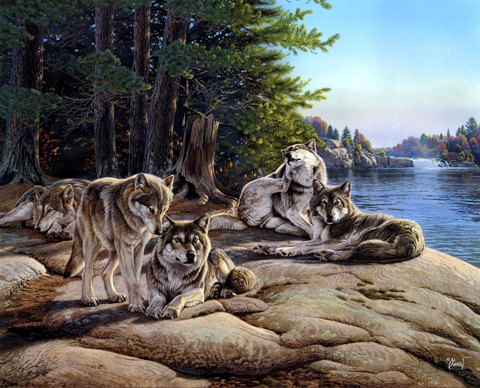 al agnew painting wolves river article