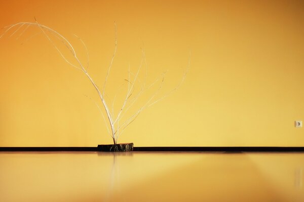 An unusual installation is a yellow wall with a small outlet