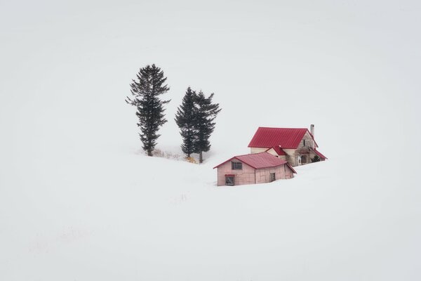 Minimalismo casa y árboles sobre fondo blanco
