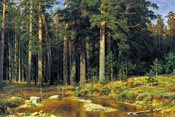 La fitta foresta attira con la sua bellezza e attrazione