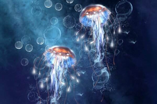 Jellyfish dance underwater