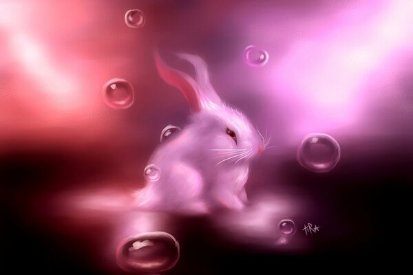 White bunny in pink bubbles