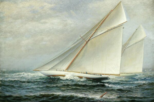 Un yate de vela blanca navega por el mar