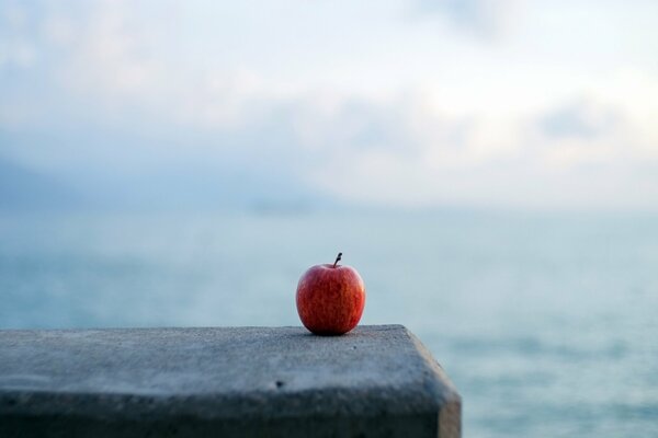 Minimalismo manzana solitaria junto al agua