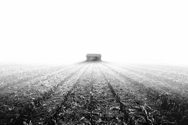 A lonely house in a field on the background