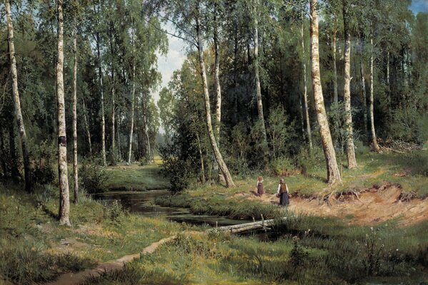 Along the stream in the birch forest