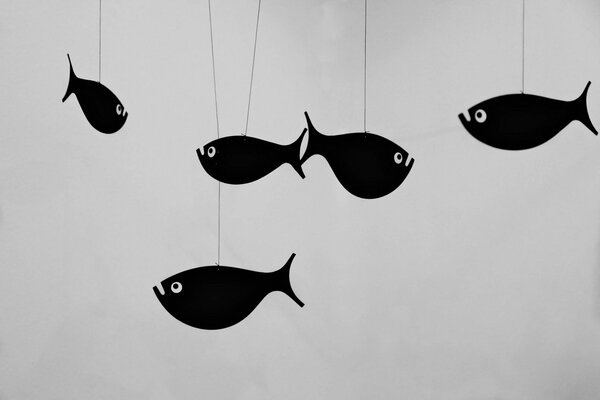 Black fish hung on a string