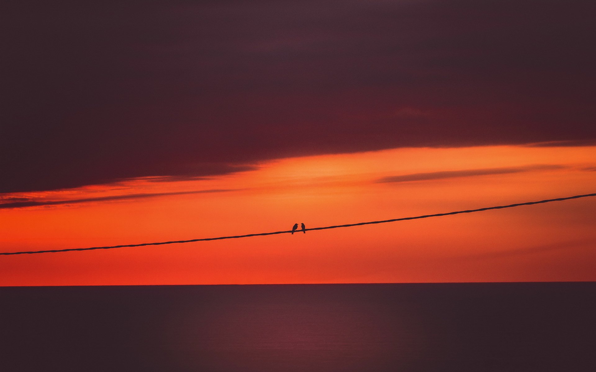 sonnenuntergang vögel hintergrund