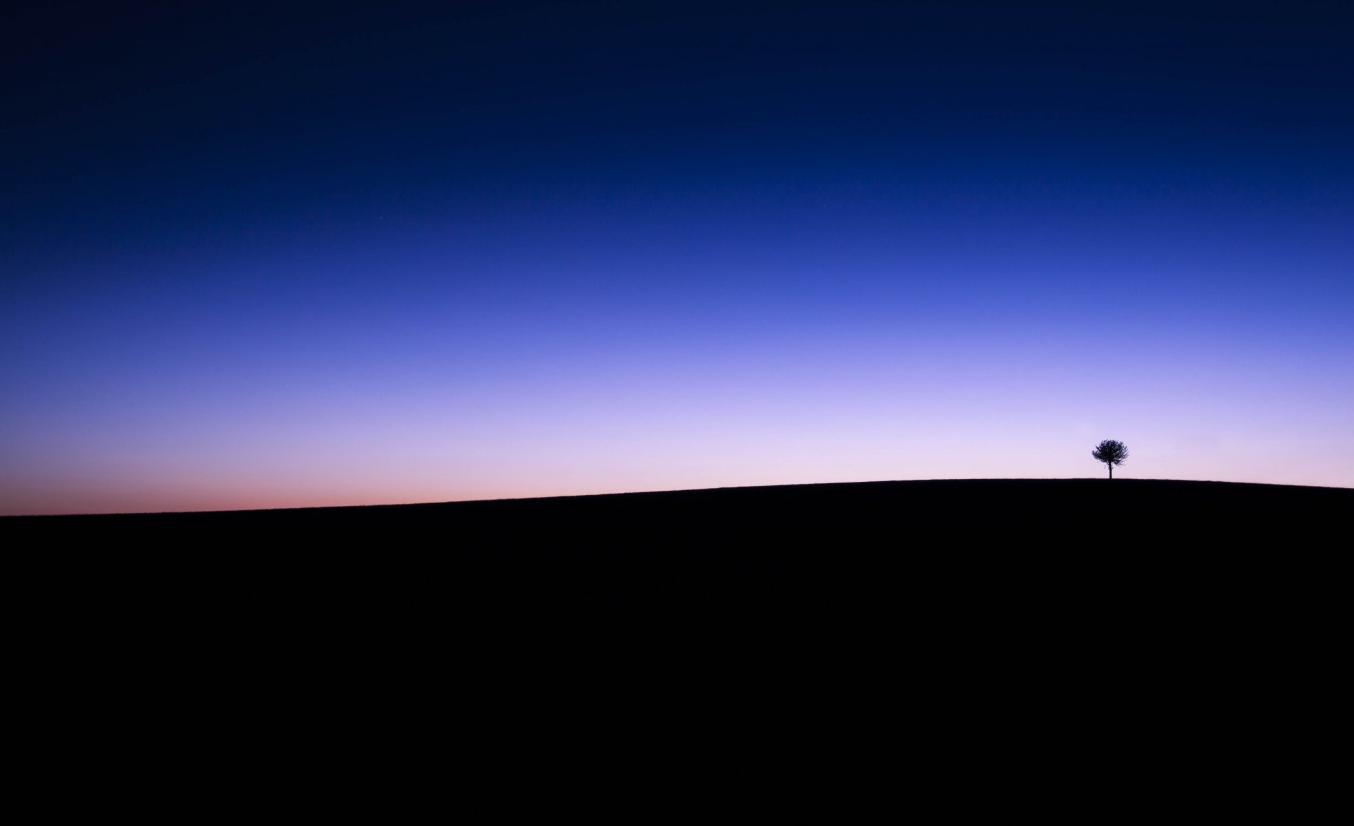 campo linee albero cielo crepuscolo