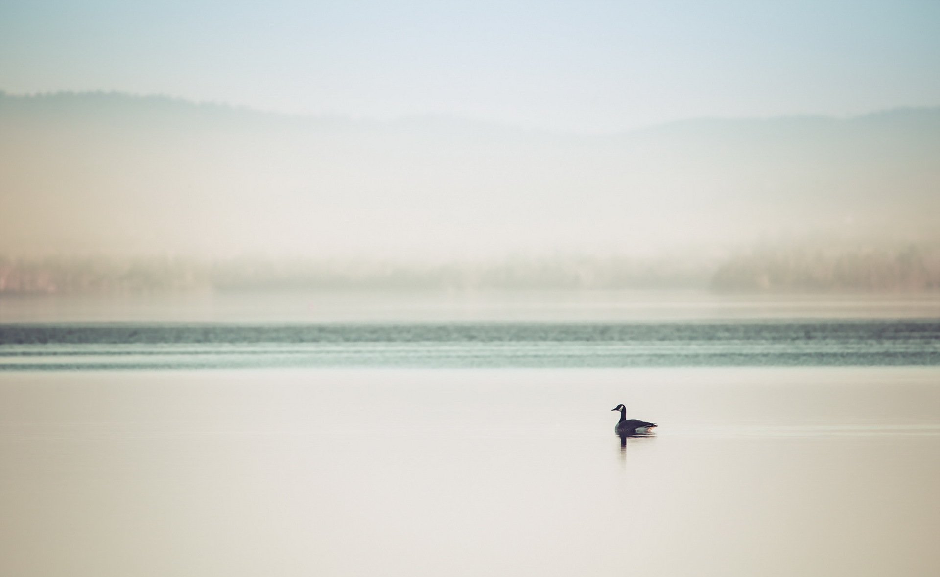 duck lake fog