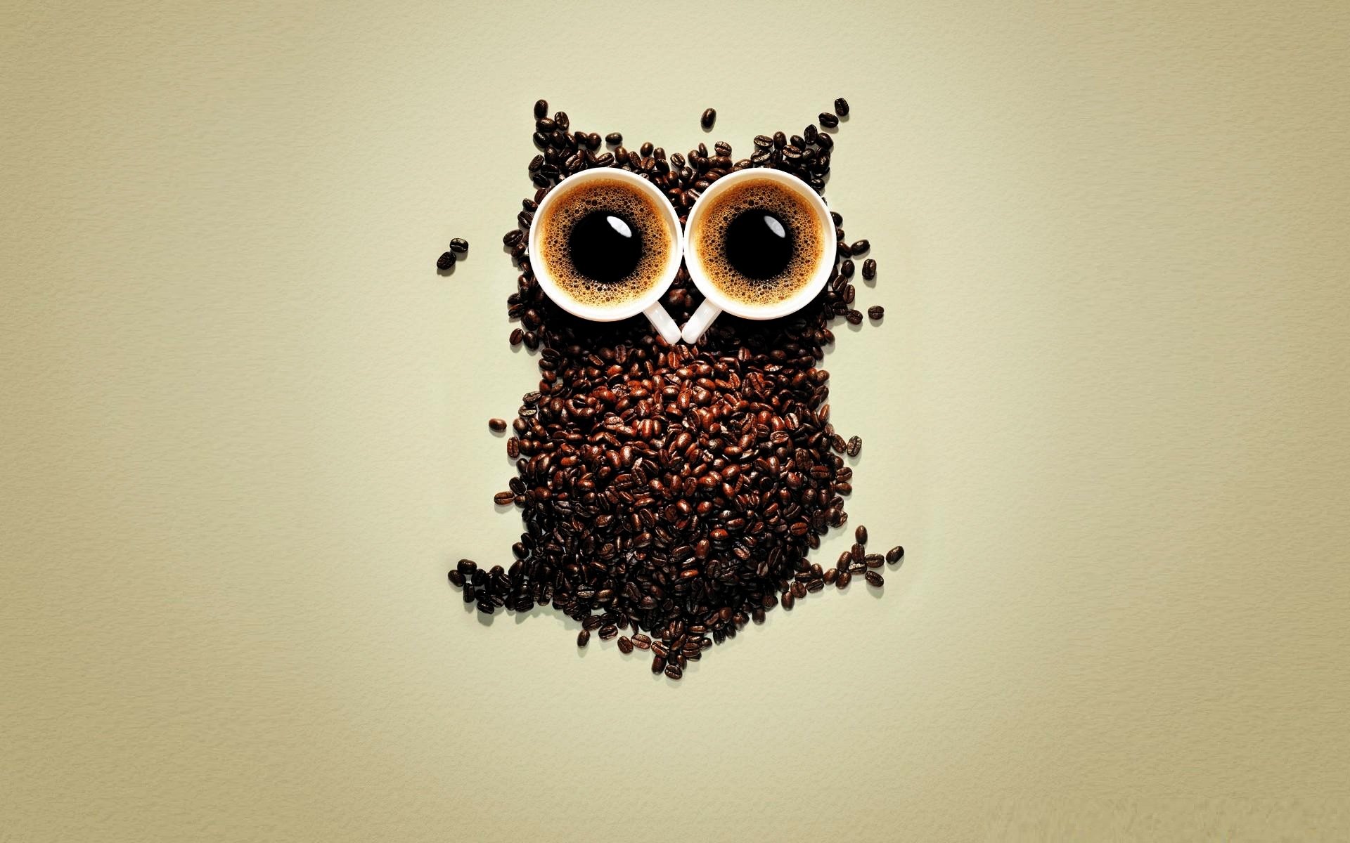 cups of coffee coffee coffee beans owl