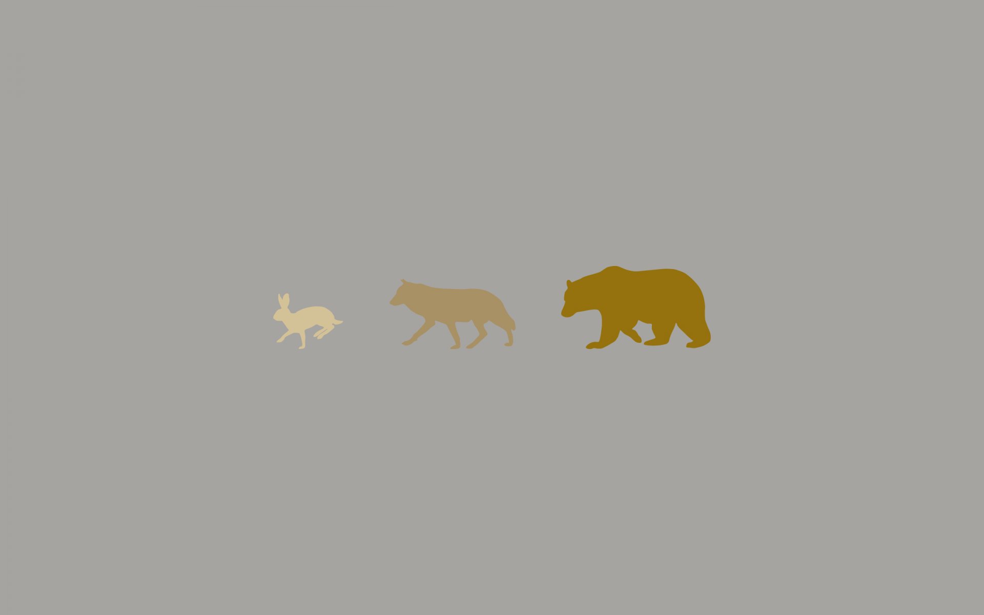 animals hare wolf bear