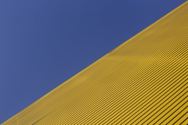 Campo giallo sotto il cielo blu