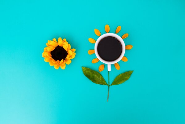 Tasse avec une fleur. Vue de dessus