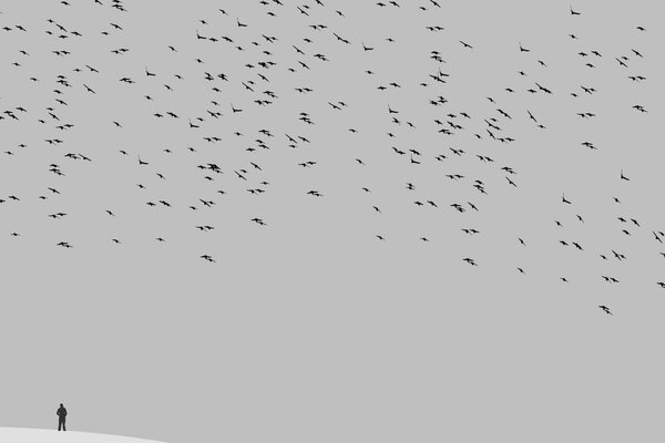 Image of a man against the background of birds in the sky