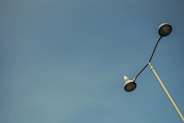 Pigeon blanc sur un lampadaire