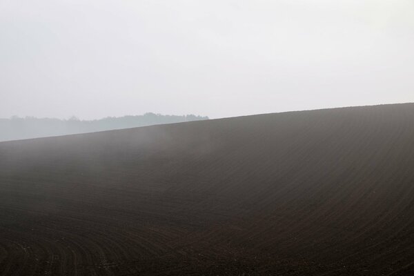 Sauberes Feld am Morgen im Nebel