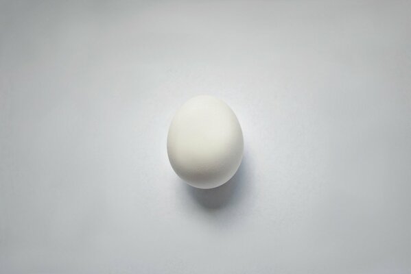 Egg macro background white