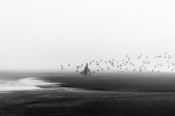 Ein Mann auf einem Fahrrad am Strand, während Vögel darüber fliegen