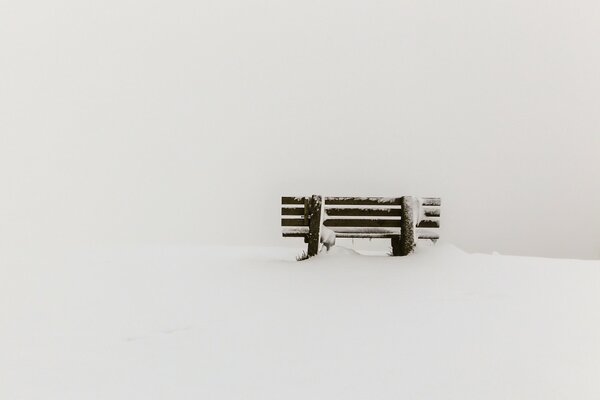 Snow-covered bench minimalism