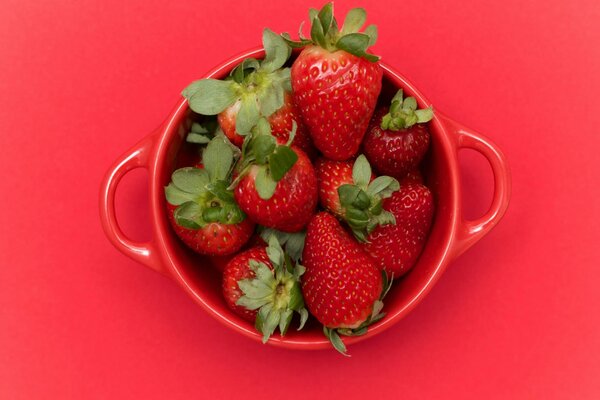 Tasse de fraises rouges avec des queues de cheval