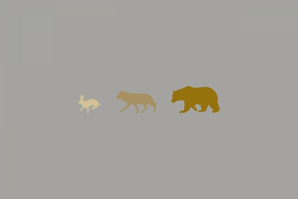 Rząd zwierząt: niedźwiedź, wilk, Zając