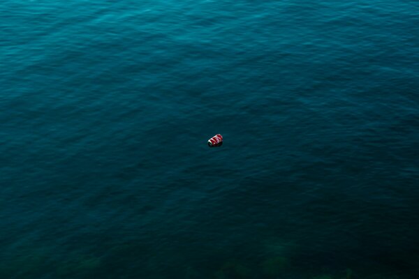 Eine Metalldose von Coca-Cola schwimmt im Wasser