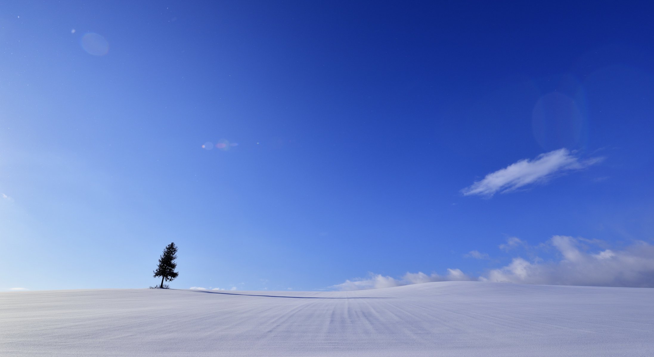 campo árbol paisaje minimalismo