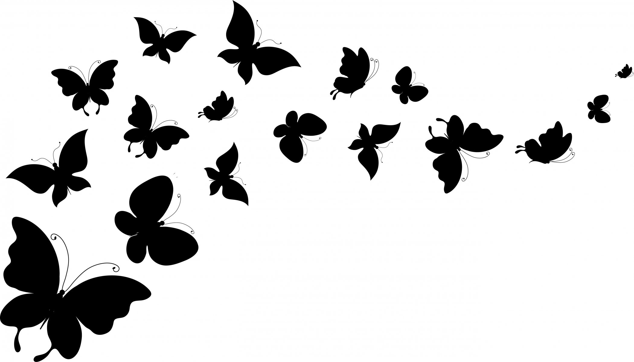 papillons silhouettes ailes fond blanc