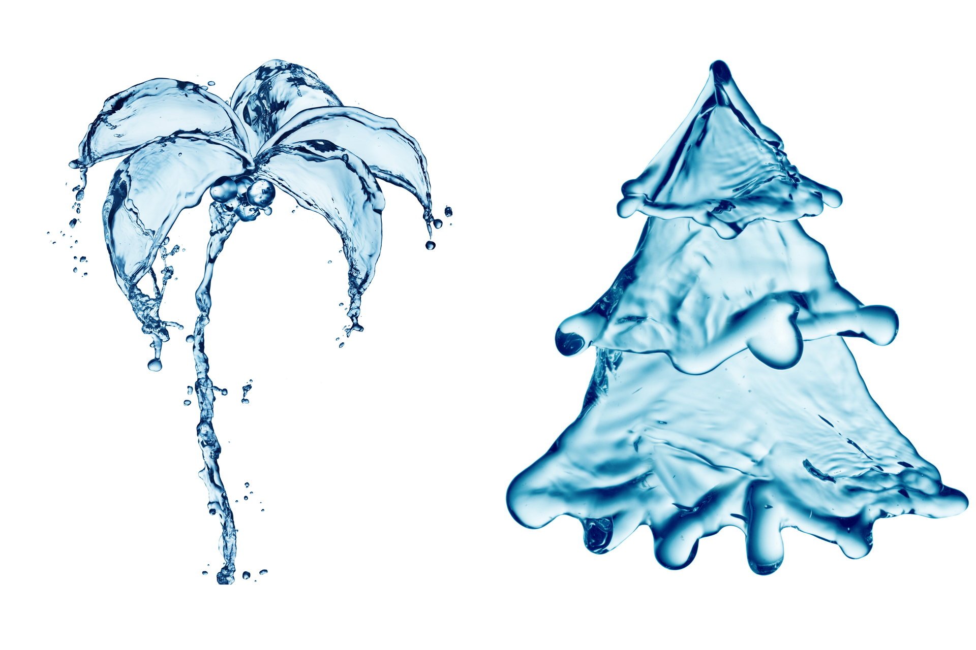 летний и зимний вода капли заставки творчество искусство пальма ель зима и лето всплеск брызги рисунок креатив арт елка